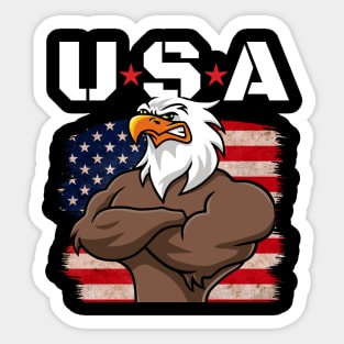 USA Sticker